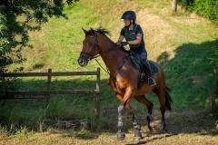 4-actie-bij-20-naam-onbekend-1193