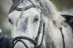IMG-20191104-WA0009