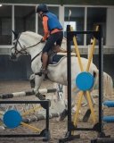 IMG-20191104-WA0011