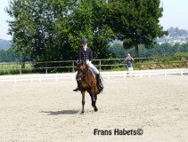 DSC0325