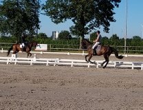 IMG-20190709-WA0018